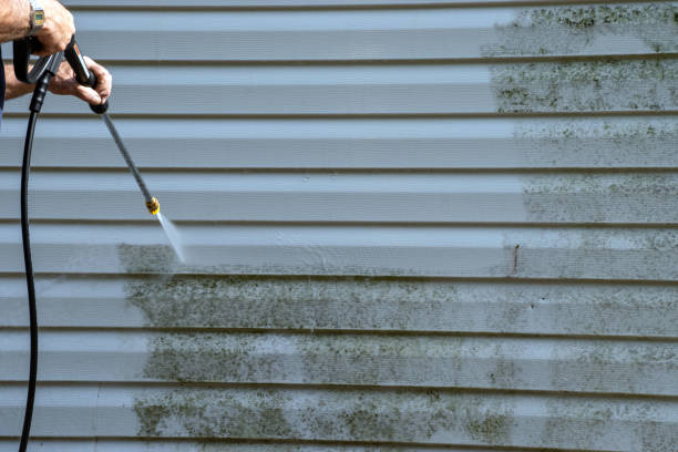 Best Brick Veneer Siding  in Thibodaux, LA